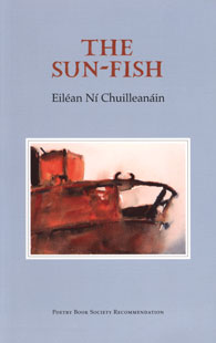 book-nichuilleanain-sun-fish